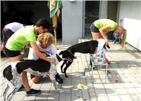 05_Chrti_dostihy_Greyhound_Racing_Park_Praha_Bookmakers_CuP_DSC07795_u.jpg