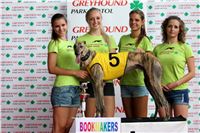 05_Chrti_dostihy_Greyhound_Racing_Park_Praha_Bookmakers_CuP_IMG_0030.jpg