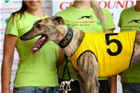 05_Chrti_dostihy_Greyhound_Racing_Park_Praha_Bookmakers_CuP_IMG_0037.jpg