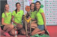 05_Chrti_dostihy_Greyhound_Racing_Park_Praha_Bookmakers_CuP_IMG_0045.jpg