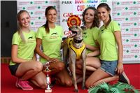 05_Chrti_dostihy_Greyhound_Racing_Park_Praha_Bookmakers_CuP_IMG_0050.jpg