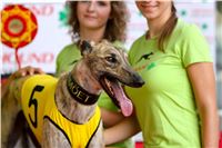 05_Chrti_dostihy_Greyhound_Racing_Park_Praha_Bookmakers_CuP_IMG_0051.jpg