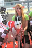 06_Chrti_dostihy_Greyhound_Racing_Park_Praha_Bookmakers_CuP_IMG_0063.jpg