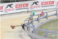 06_Chrti_dostihy_Greyhound_Racing_Park_Praha_Bookmakers_CuP_IMG_0078.jpg