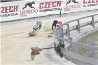 06_Chrti_dostihy_Greyhound_Racing_Park_Praha_Bookmakers_CuP_IMG_0079.jpg