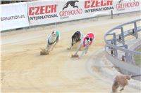 06_Chrti_dostihy_Greyhound_Racing_Park_Praha_Bookmakers_CuP_IMG_0080.jpg