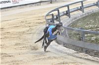 06_Chrti_dostihy_Greyhound_Racing_Park_Praha_Bookmakers_CuP_IMG_0082.jpg