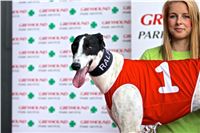 06_Chrti_dostihy_Greyhound_Racing_Park_Praha_Bookmakers_CuP_IMG_0089.jpg