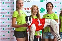 06_Chrti_dostihy_Greyhound_Racing_Park_Praha_Bookmakers_CuP_IMG_0095.jpg