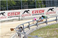 07_Chrti_dostihy_Greyhound_Racing_Park_Praha_Bookmakers_CuP_IMG_9920.jpg