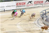 07_Chrti_dostihy_Greyhound_Racing_Park_Praha_Bookmakers_CuP_IMG_9922.jpg