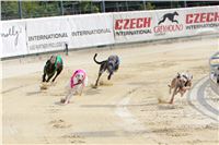 07_Chrti_dostihy_Greyhound_Racing_Park_Praha_Bookmakers_CuP_IMG_9923.jpg