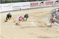 07_Chrti_dostihy_Greyhound_Racing_Park_Praha_Bookmakers_CuP_IMG_9924.jpg