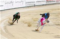 07_Chrti_dostihy_Greyhound_Racing_Park_Praha_Bookmakers_CuP_IMG_9925.jpg