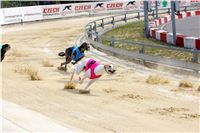 07_Chrti_dostihy_Greyhound_Racing_Park_Praha_Bookmakers_CuP_IMG_9926.jpg