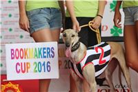 07_Chrti_dostihy_Greyhound_Racing_Park_Praha_Bookmakers_CuP_IMG_9969.jpg