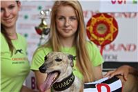 07_Chrti_dostihy_Greyhound_Racing_Park_Praha_Bookmakers_CuP_IMG_9978.jpg