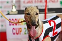 07_Chrti_dostihy_Greyhound_Racing_Park_Praha_Bookmakers_CuP_IMG_9985.jpg