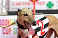 07_Chrti_dostihy_Greyhound_Racing_Park_Praha_Bookmakers_CuP_IMG_9986.jpg