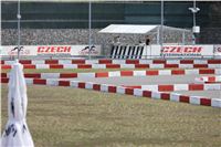 08_Chrti_dostihy_Greyhound_Racing_Park_Praha_Bookmakers_CuP_IMG_0117.jpg