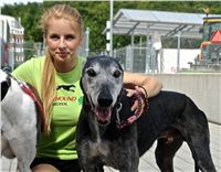 09_Chrti_dostihy_Greyhound_Racing_Park_Praha_Bookmakers_CuP_DSC07823_u.jpg