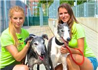 09_Chrti_dostihy_Greyhound_Racing_Park_Praha_Bookmakers_CuP_DSC07828_u.jpg