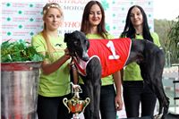 Chrt_dostihy_Praha_Greyhound_Racing_CGDF_Svatovaclavska_cena_2016_003.jpg