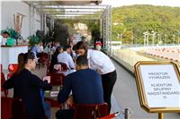 Chrt_dostihy_Praha_Greyhound_Racing_CGDF_Svatovaclavska_cena_2016_022.jpg