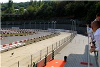 Chrt_dostihy_Praha_Greyhound_Racing_CGDF_Svatovaclavska_cena_2016_034.jpg