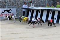 Chrt_dostihy_Praha_Greyhound_Racing_CGDF_Svatovaclavska_cena_2016_048.jpg