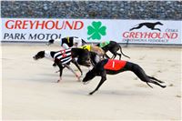 Chrt_dostihy_Praha_Greyhound_Racing_CGDF_Svatovaclavska_cena_2016_051.jpg