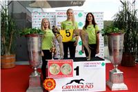 Chrt_dostihy_Praha_Greyhound_Racing_CGDF_Svatovaclavska_cena_2016_061.jpg