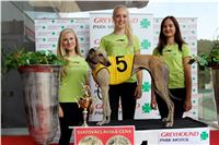 Chrt_dostihy_Praha_Greyhound_Racing_CGDF_Svatovaclavska_cena_2016_062.jpg