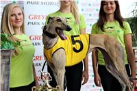 Chrt_dostihy_Praha_Greyhound_Racing_CGDF_Svatovaclavska_cena_2016_064.jpg