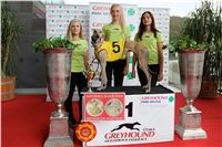 Chrt_dostihy_Praha_Greyhound_Racing_CGDF_Svatovaclavska_cena_2016_065.jpg
