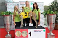 Chrt_dostihy_Praha_Greyhound_Racing_CGDF_Svatovaclavska_cena_2016_067.jpg