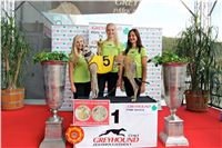 Chrt_dostihy_Praha_Greyhound_Racing_CGDF_Svatovaclavska_cena_2016_068.jpg