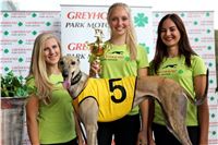 Chrt_dostihy_Praha_Greyhound_Racing_CGDF_Svatovaclavska_cena_2016_069.jpg