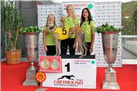 Chrt_dostihy_Praha_Greyhound_Racing_CGDF_Svatovaclavska_cena_2016_071.jpg