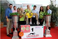 Chrt_dostihy_Praha_Greyhound_Racing_CGDF_Svatovaclavska_cena_2016_078.jpg