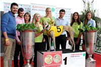 Chrt_dostihy_Praha_Greyhound_Racing_CGDF_Svatovaclavska_cena_2016_079.jpg