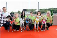 Chrt_dostihy_Praha_Greyhound_Racing_CGDF_Svatovaclavska_cena_2016_088.jpg