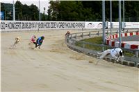 Chrt_dostihy_Praha_Greyhound_Racing_CGDF_Svatovaclavska_cena_2016_091.jpg