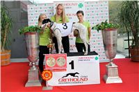 Chrt_dostihy_Praha_Greyhound_Racing_CGDF_Svatovaclavska_cena_2016_095.jpg