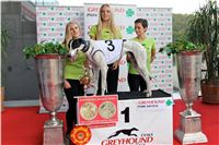 Chrt_dostihy_Praha_Greyhound_Racing_CGDF_Svatovaclavska_cena_2016_096.jpg