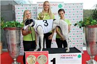 Chrt_dostihy_Praha_Greyhound_Racing_CGDF_Svatovaclavska_cena_2016_098.jpg