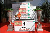 Chrt_dostihy_Praha_Greyhound_Racing_CGDF_Svatovaclavska_cena_2016_1.jpg