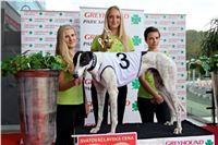 Chrt_dostihy_Praha_Greyhound_Racing_CGDF_Svatovaclavska_cena_2016_100.jpg