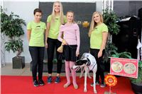 Chrt_dostihy_Praha_Greyhound_Racing_CGDF_Svatovaclavska_cena_2016_104.jpg