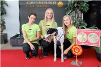 Chrt_dostihy_Praha_Greyhound_Racing_CGDF_Svatovaclavska_cena_2016_105.jpg